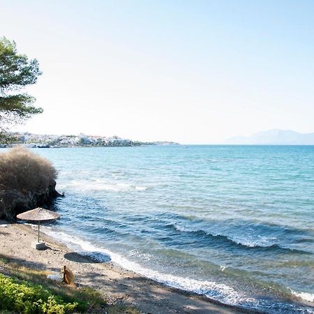 Luxury Premium Suite In Chalkís エクステリア 写真